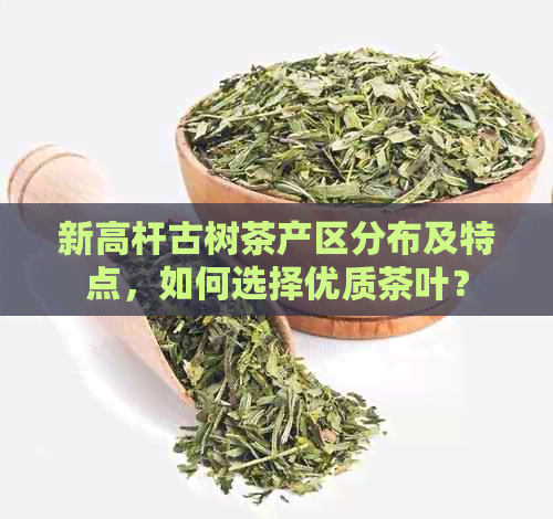 新高杆古树茶产区分布及特点，如何选择优质茶叶？