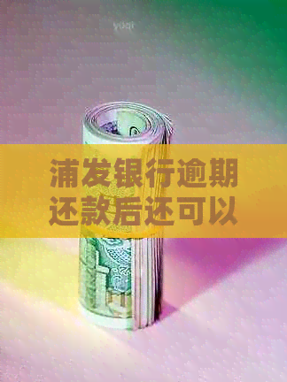 浦发银行逾期还款后还可以继续使用吗-浦发银行逾期了怎么办,还不上能申请分期吗