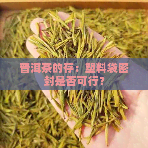 普洱茶的存：塑料袋密封是否可行？