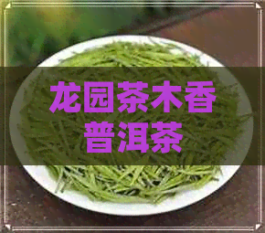 龙园茶木香普洱茶