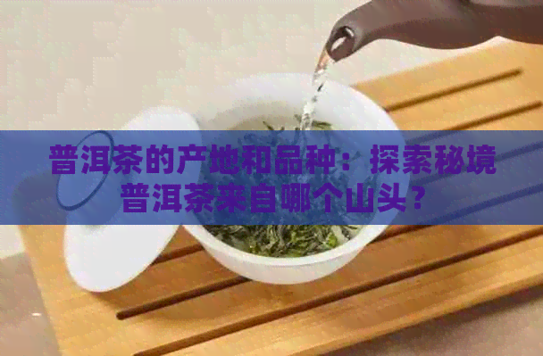 普洱茶的产地和品种：探索秘境普洱茶来自哪个山头？