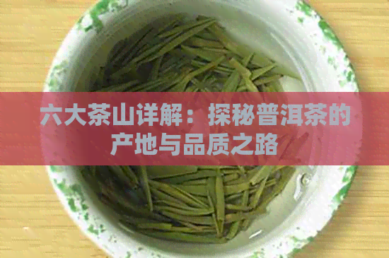 六大茶山详解：探秘普洱茶的产地与品质之路