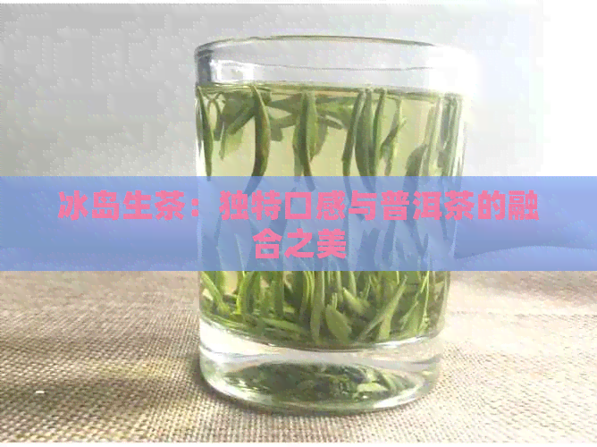 冰岛生茶：独特口感与普洱茶的融合之美