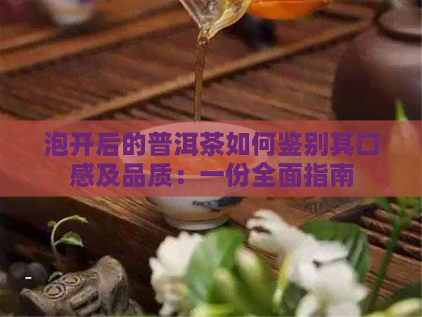 泡开后的普洱茶如何鉴别其口感及品质：一份全面指南