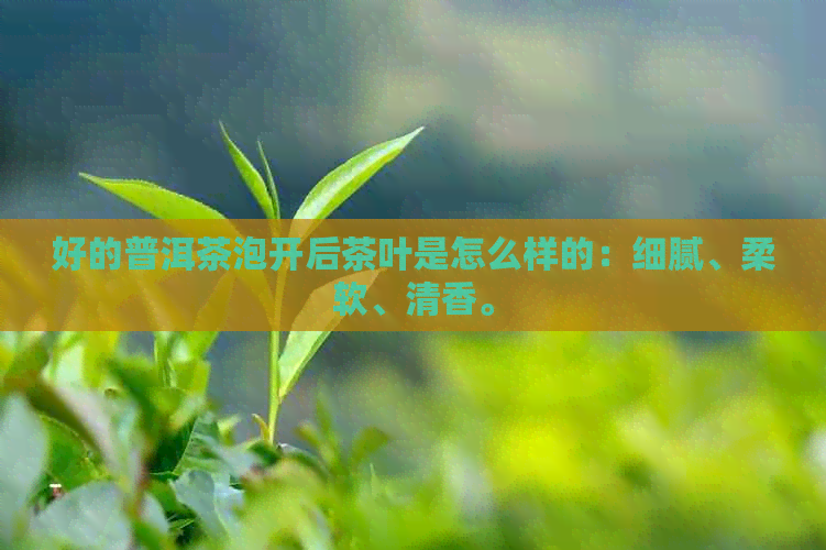 好的普洱茶泡开后茶叶是怎么样的：细腻、柔软、清香。