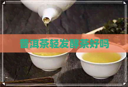 普洱茶轻发酵茶好吗