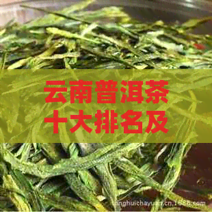 云南普洱茶十大排名及详解，助您轻松挑选优质茶叶