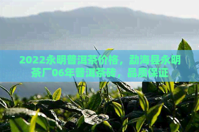 2022永明普洱茶价格，勐海县永明茶厂06年普洱茶砖，品质保证