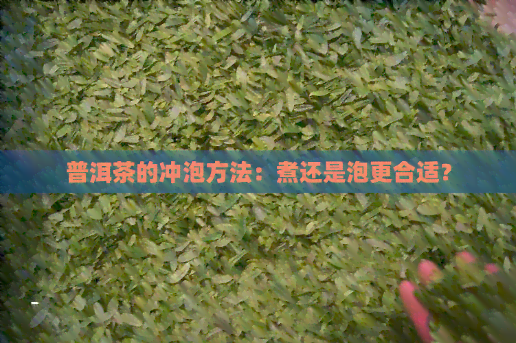 普洱茶的冲泡方法：煮还是泡更合适？