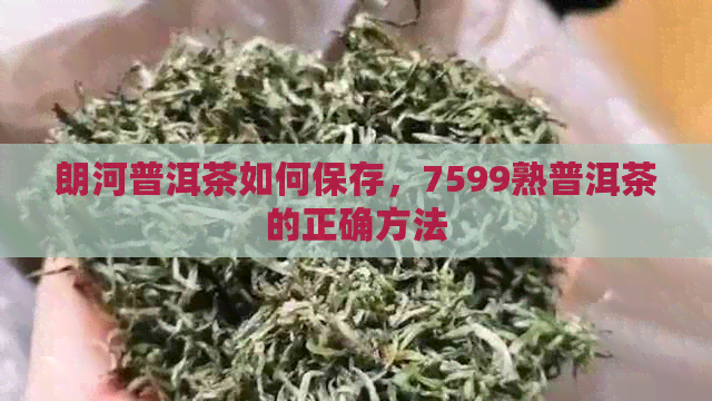 朗河普洱茶如何保存，7599熟普洱茶的正确方法