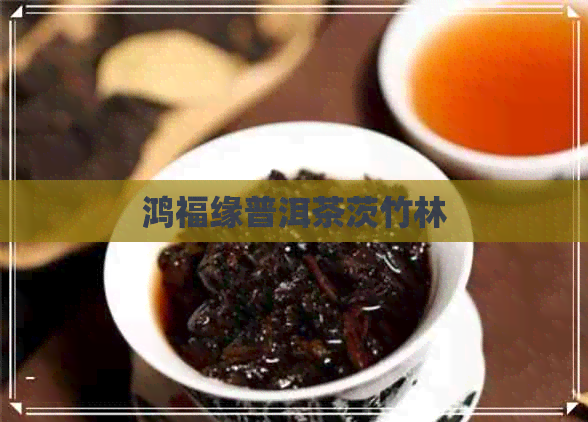 鸿福缘普洱茶茨竹林