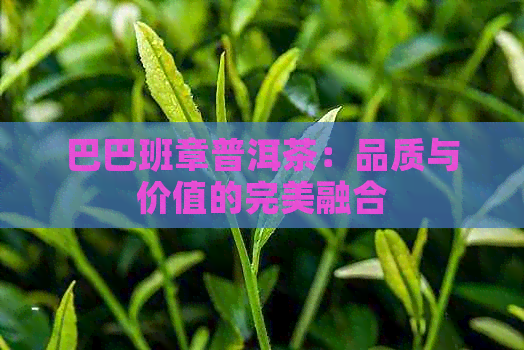 巴巴班章普洱茶：品质与价值的完美融合