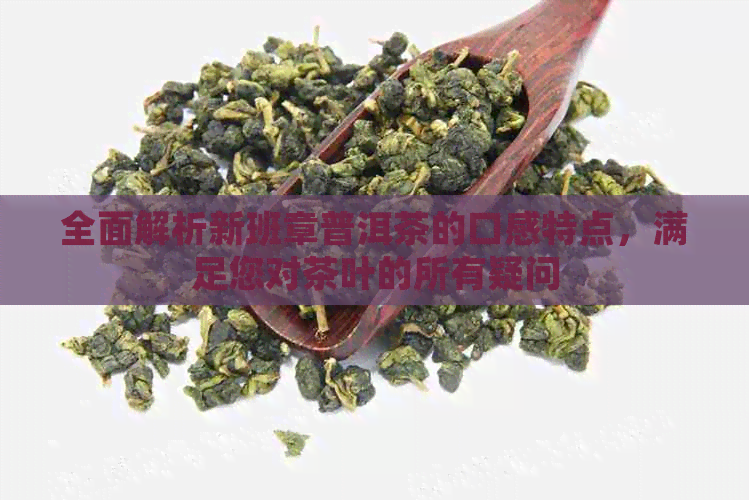 全面解析新班章普洱茶的口感特点，满足您对茶叶的所有疑问