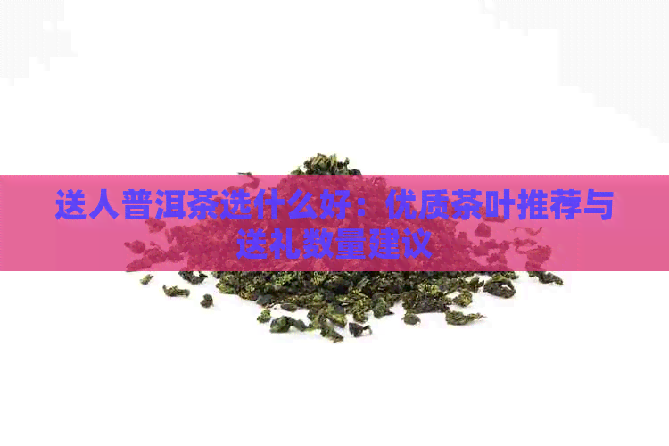 送人普洱茶选什么好：优质茶叶推荐与送礼数量建议