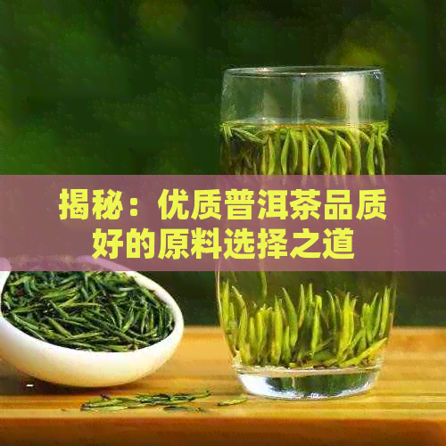 揭秘：优质普洱茶品质好的原料选择之道