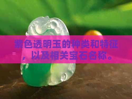 紫色透明玉的种类和特征，以及相关宝石名称。