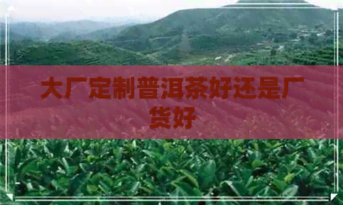 大厂定制普洱茶好还是厂货好