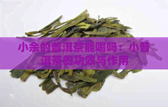 小余的普洱茶能喝吗：小普洱茶的功效与作用