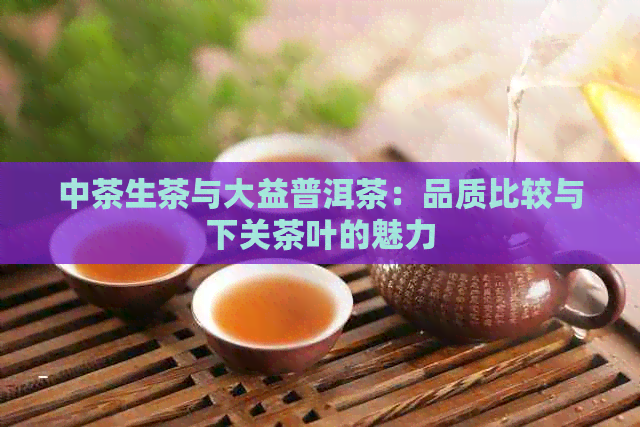 中茶生茶与大益普洱茶：品质比较与下关茶叶的魅力