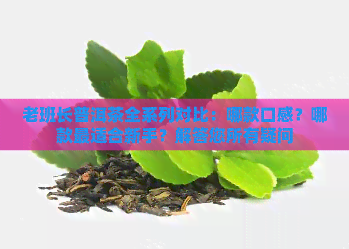 老班长普洱茶全系列对比：哪款口感？哪款最适合新手？解答您所有疑问