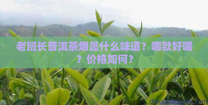 老班长普洱茶烟是什么味道？哪款好喝？价格如何？