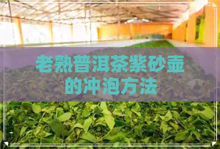 老熟普洱茶紫砂壶的冲泡方法