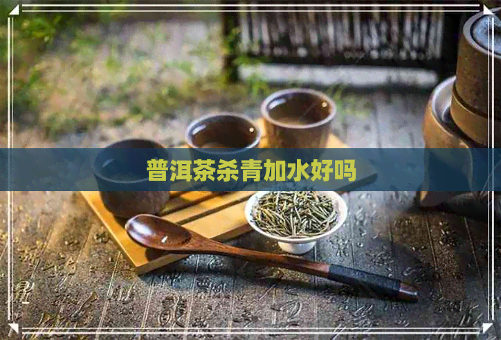 普洱茶杀青加水好吗