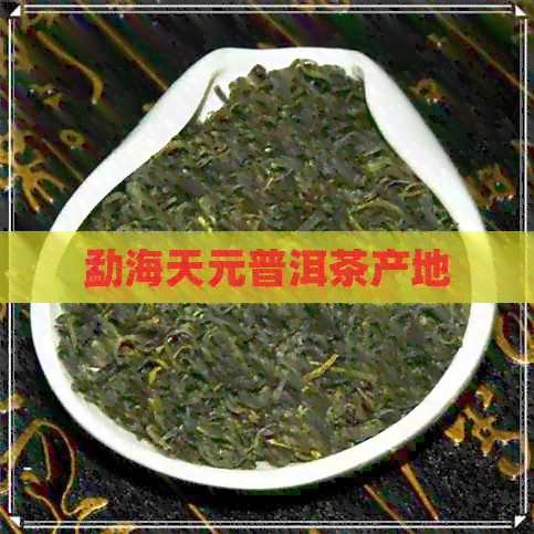 勐海天元普洱茶产地