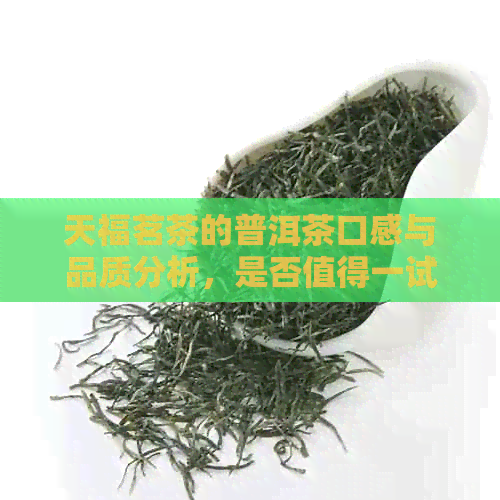 天福茗茶的普洱茶口感与品质分析，是否值得一试？