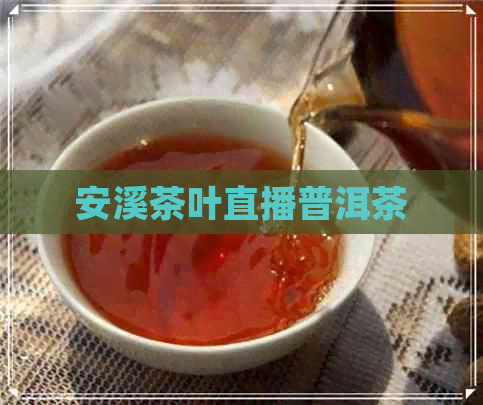 安溪茶叶直播普洱茶