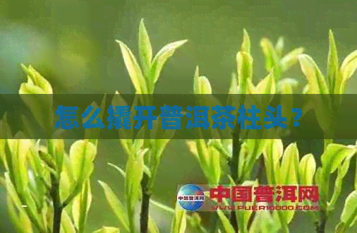 怎么撬开普洱茶柱头？