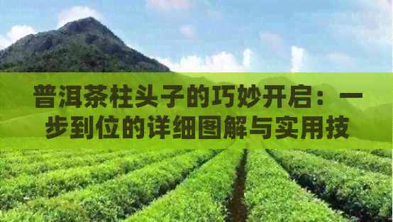 普洱茶柱头子的巧妙开启：一步到位的详细图解与实用技巧