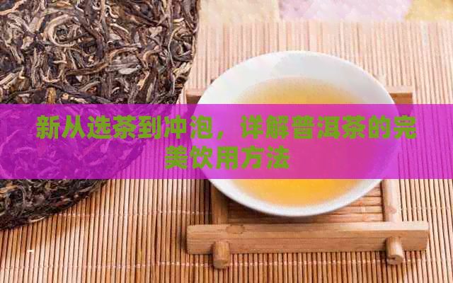 新从选茶到冲泡，详解普洱茶的完美饮用方法