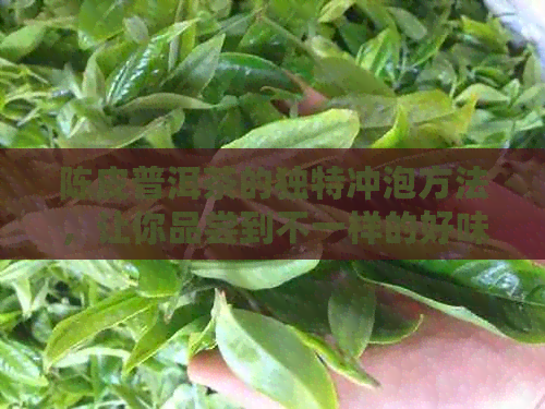 陈皮普洱茶的独特冲泡方法，让你品尝到不一样的好味道