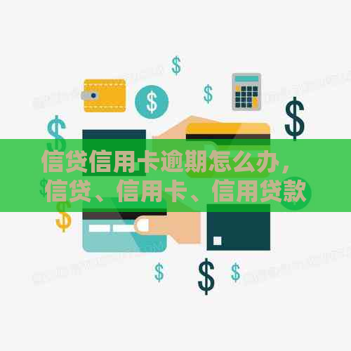 信贷信用卡逾期怎么办， 信贷、信用卡、信用贷款、贷款后逾期处理方法