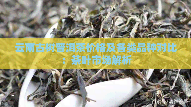 云南古树普洱茶价格及各类品种对比：茶叶市场解析