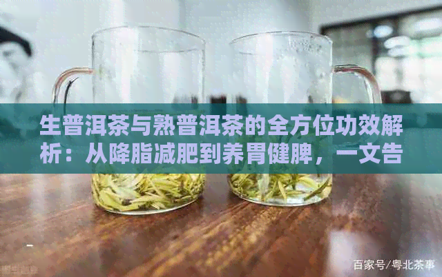 生普洱茶与熟普洱茶的全方位功效解析：从降脂减肥到养胃健脾，一文告诉你！