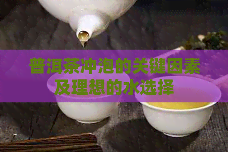 普洱茶冲泡的关键因素及理想的水选择