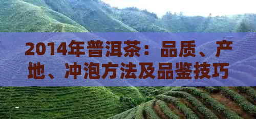 2014年普洱茶：品质、产地、冲泡方法及品鉴技巧全面解析