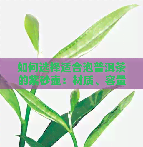 如何选择适合泡普洱茶的紫砂壶：材质、容量和款式的综合分析