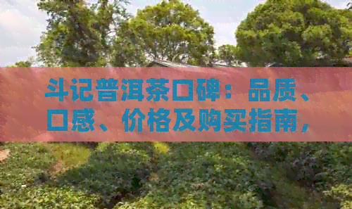 斗记普洱茶口碑：品质、口感、价格及购买指南，一次解决用户所有疑问