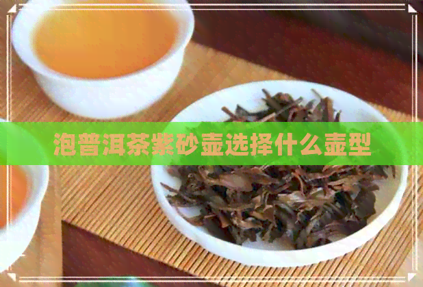 泡普洱茶紫砂壶选择什么壶型