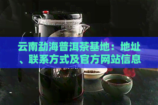 云南勐海普洱茶基地：地址、联系方式及官方网站信息