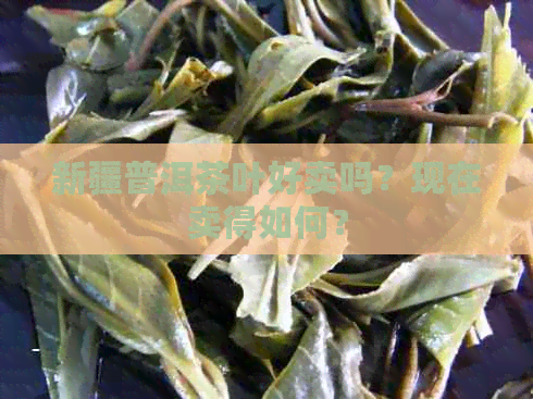 新疆普洱茶叶好卖吗？现在卖得如何？