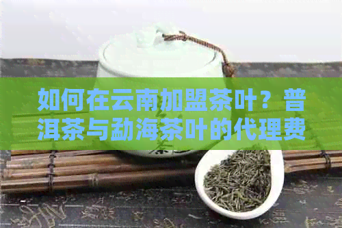 如何在云南加盟茶叶？普洱茶与勐海茶叶的代理费用解析