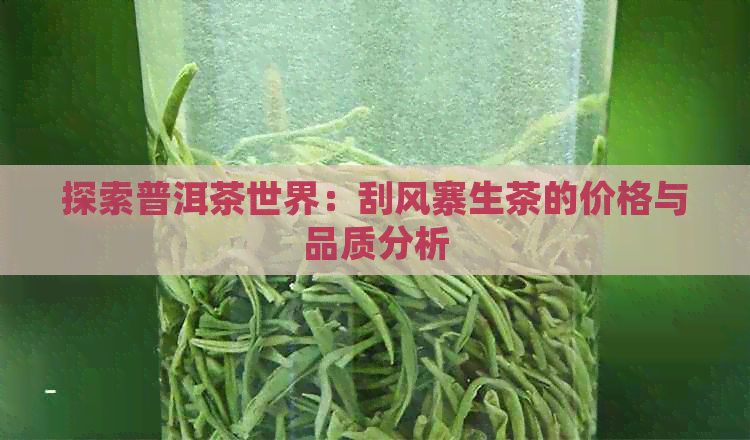 探索普洱茶世界：刮风寨生茶的价格与品质分析