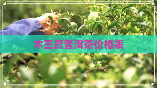 木王府普洱茶价格表