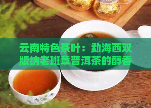 云南特色茶叶：勐海西双版纳老班章普洱茶的醇香之旅