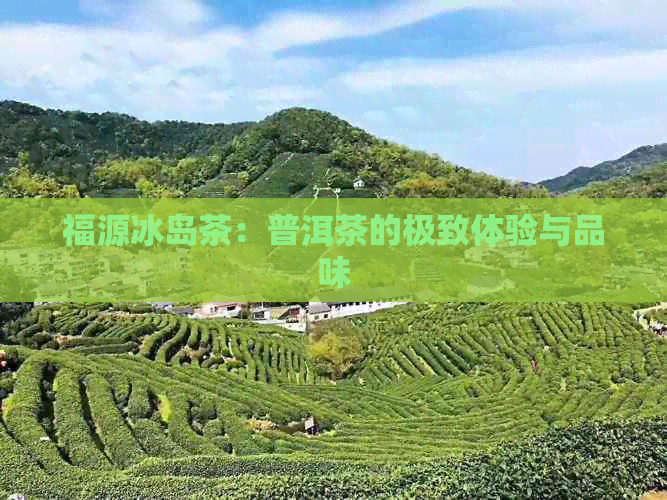 福源冰岛茶：普洱茶的极致体验与品味