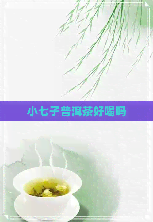 小七子普洱茶好喝吗